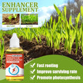 BloomUp™️ Plant Growth Supplement (Pack of 3)